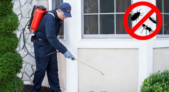 Karapınar Hamam Böceği İlaçlama böcek ilaçlama ve haşere kontrolü — ilaclama-tr.com